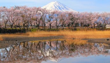 Mount Fuji from Yagisaki Park, two years ago today (Yamanashi-ken)