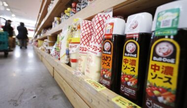 Inflation pain to continue for Japan consumers in new fiscal year