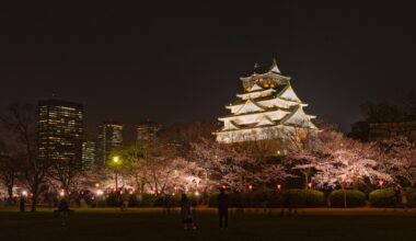 Osaka Castle illuminated during cherry blossom season