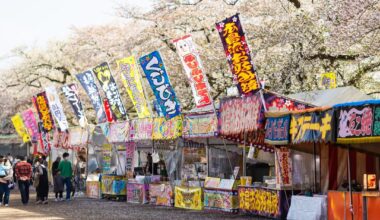 Kakunodate old samurai town Sakura fest