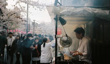 Meguro River Sakura Festival - 35mm Portra 400