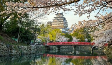 Himeji Castle Sakura 🌸 3/30