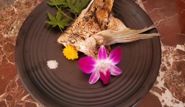 Madai kama (breakfast) and Madai sashimi (lunch)