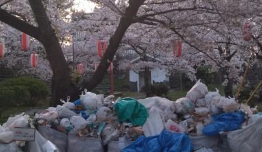 Wakayama, the early morning hours after Sakura