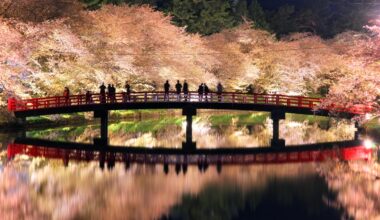 Shunyo Bridge during the Hirosaki cherry blossom festival, two years ago today (Aomori-ken)