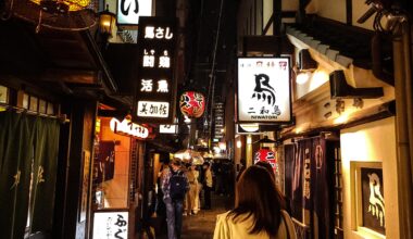 Tight Alleyways of Osaka