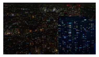 Tokyo 2019 - Taken from the Tokyo Metropolitan Government Building.