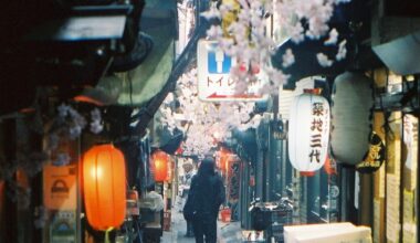 An Alley in Shinjuku [OC]