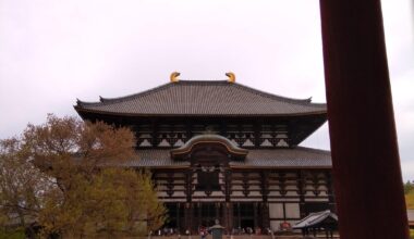 Just went to Nara yesterday; It was great!