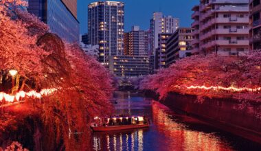 Beautifully lit sakura in Nakameguro