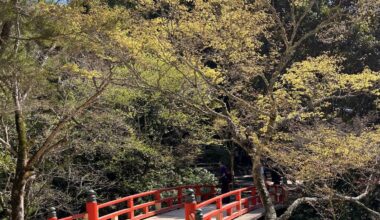 On the path to the Miyajima Ropeway