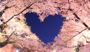 Love from Hirosaki, two years ago today (Aomori-ken)