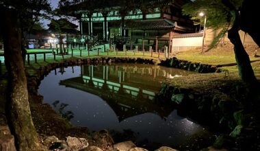 Reflections in the Hills of Nara Park.