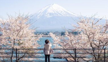 View of Mount Fuji and sakura from Kawaguchiko last sunday