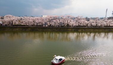 Sakura lining a lake in Morioka city, Iwate with plenty of food vendors. Fun vibes.