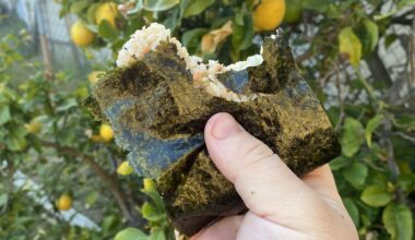 Very non traditional onigiri from a salmon I caught and smoked. I loved it.