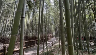 Arashiyama