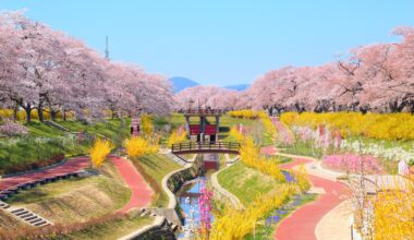 Springtime in Shiroishi River Senou Park, two years ago today (Miyagi-ken)