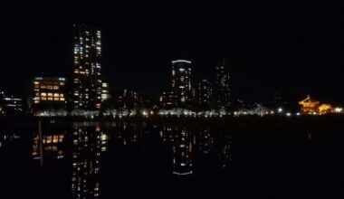 Night View of a Cherry Blossoms at Ueno Park