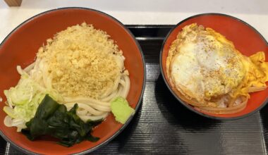 Hiyashi Tanuki Udon & Mini Katsudon