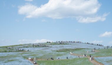 Hitachi Seaside Park during spring!