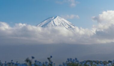 Mount Fuji yesterday