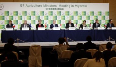 G-7 farm ministers condemn Russia for war's impact on food security