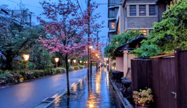 Rainy stroll though Kiyamachi dori
