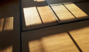 Shadows on Tatami