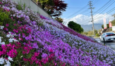 Random driveway in Beppu