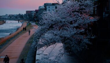 Spring along the Kamu River