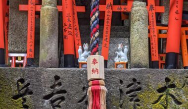 [OC] Torii within torii at Fushimi Inari (March 2023)