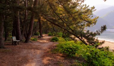 End of the day at Tsuruga's Matsubara Park, four years ago today (Fukui-ken)