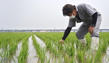 Japan faces uphill battle to ensure food security