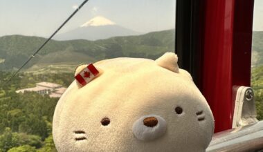 Fuji-san from Hakone.