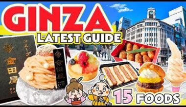 Ginza Tokyo Japan Street Food Tour