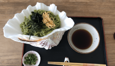 ever had soba in a shell? green soba noodles (spinach) topped with nori & egg 💚🐚