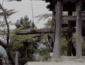 How To Strike A Bell In A Japanese Temple