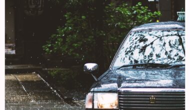 Pickup under a rain of sakura (and regular rain) at Jōen-ji, Tokyo