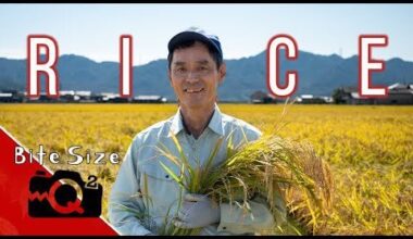 Organic Rice Farmer in Japan (short & long versions of the interview available on YouTube) よろしくお願いします