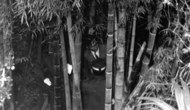 3 decades on, case of $1.7 mil. found in Japan bamboo grove reveals finder's scars - The Mainichi