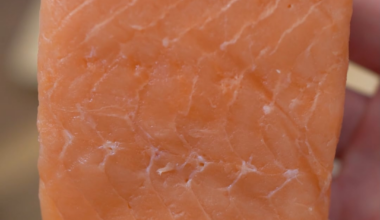 Costco Frozen Salmon to Sashimi