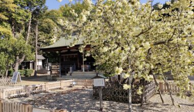 Ueji Hachimangu Shrine, Okazaki City, Aichi Prefecture