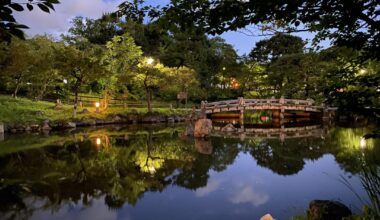 Maruyama Park at night is so incredibly peaceful!