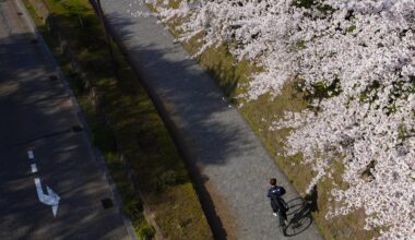 A spring scene from Kanazawa