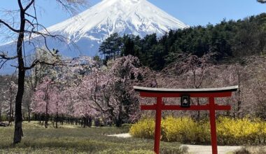 My best shot of Mt. Fuji from Sunday, April 9, 2023.