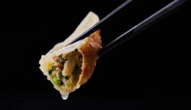 5 Tricks for Perfect Gyoza