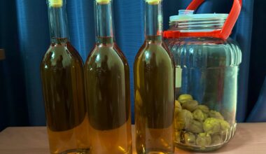 Bottled up the umeshu I posted here when I started it aging almost one year ago!