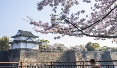 Cherry blossom in Osaka Castle park