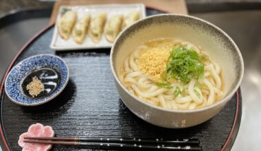 Tanuki udon & some gyoza for lunch on a dreary afternoon 😄